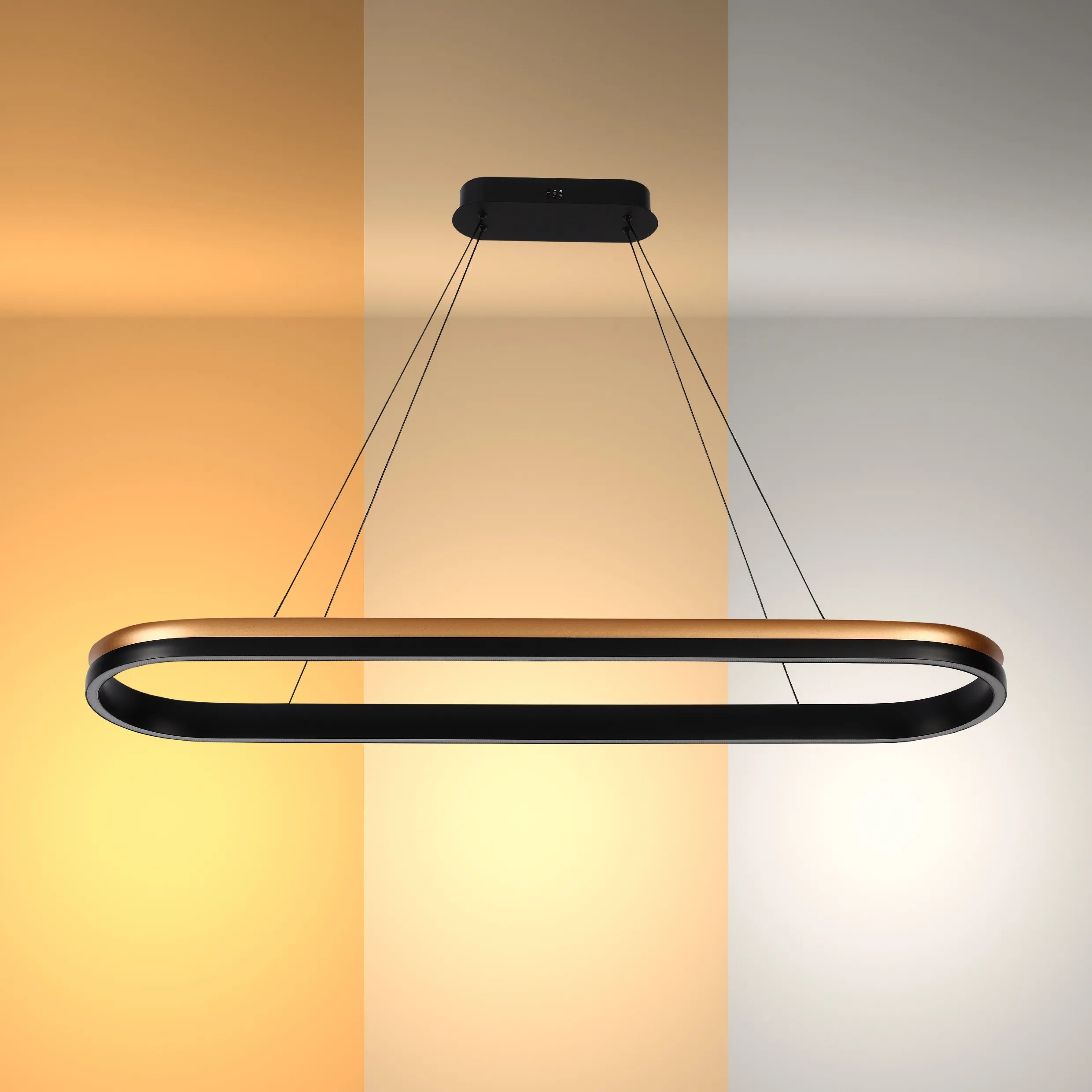 Black and Gold Modern LED Pendant Light - Single, Double, Triple Tier and Oblong