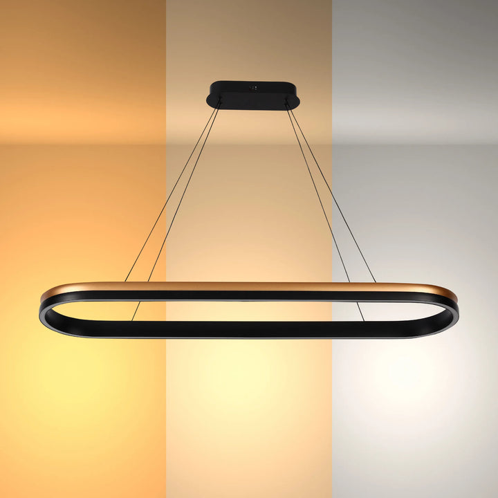 Black and Gold Modern LED Pendant Light - Single, Double, Triple Tier and Oblong
