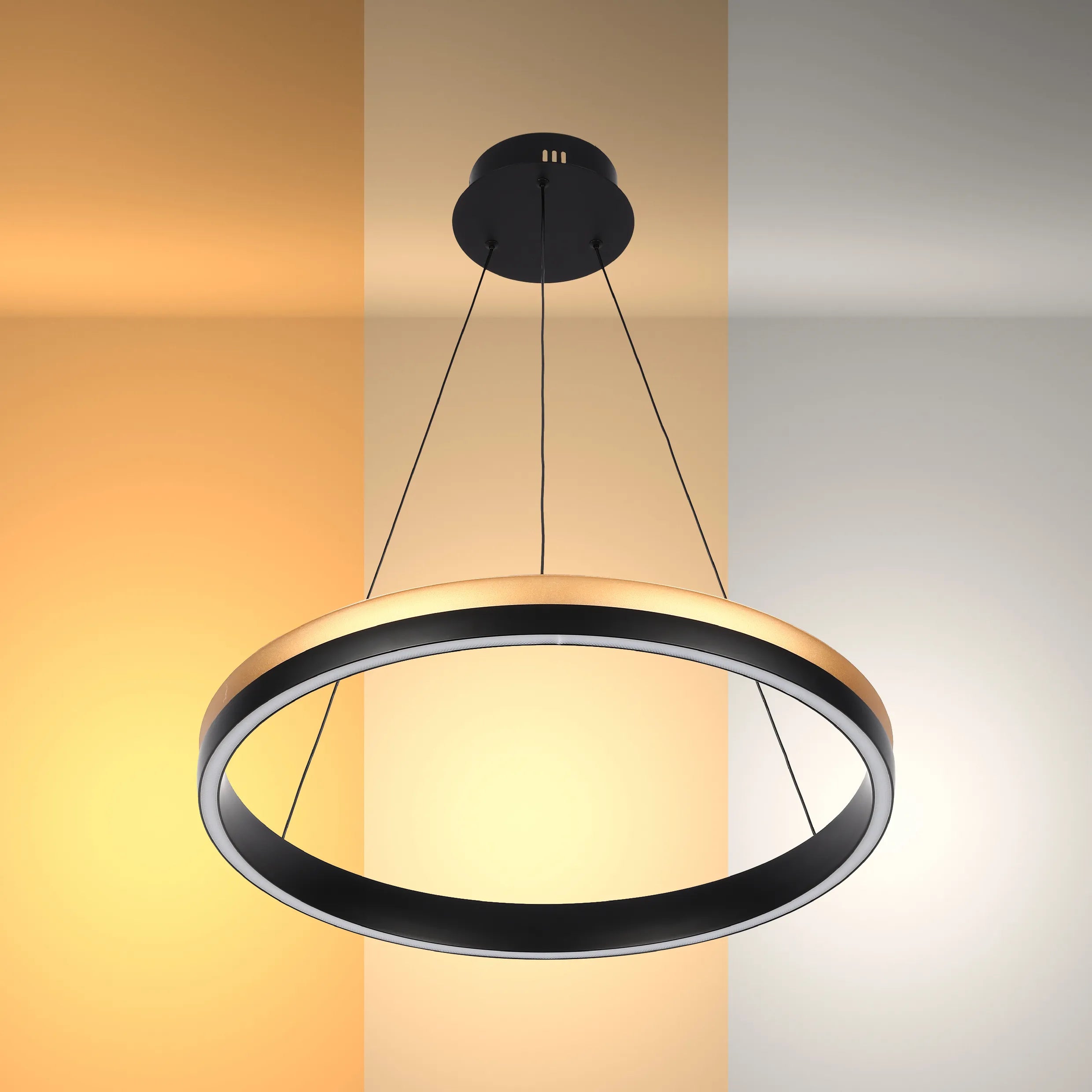 Black and Gold Modern LED Pendant Light - Single, Double, Triple Tier and Oblong