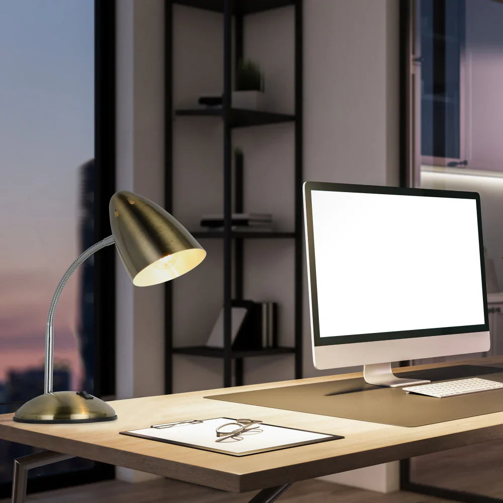 Flex Neck Metal Desk Lamp 10