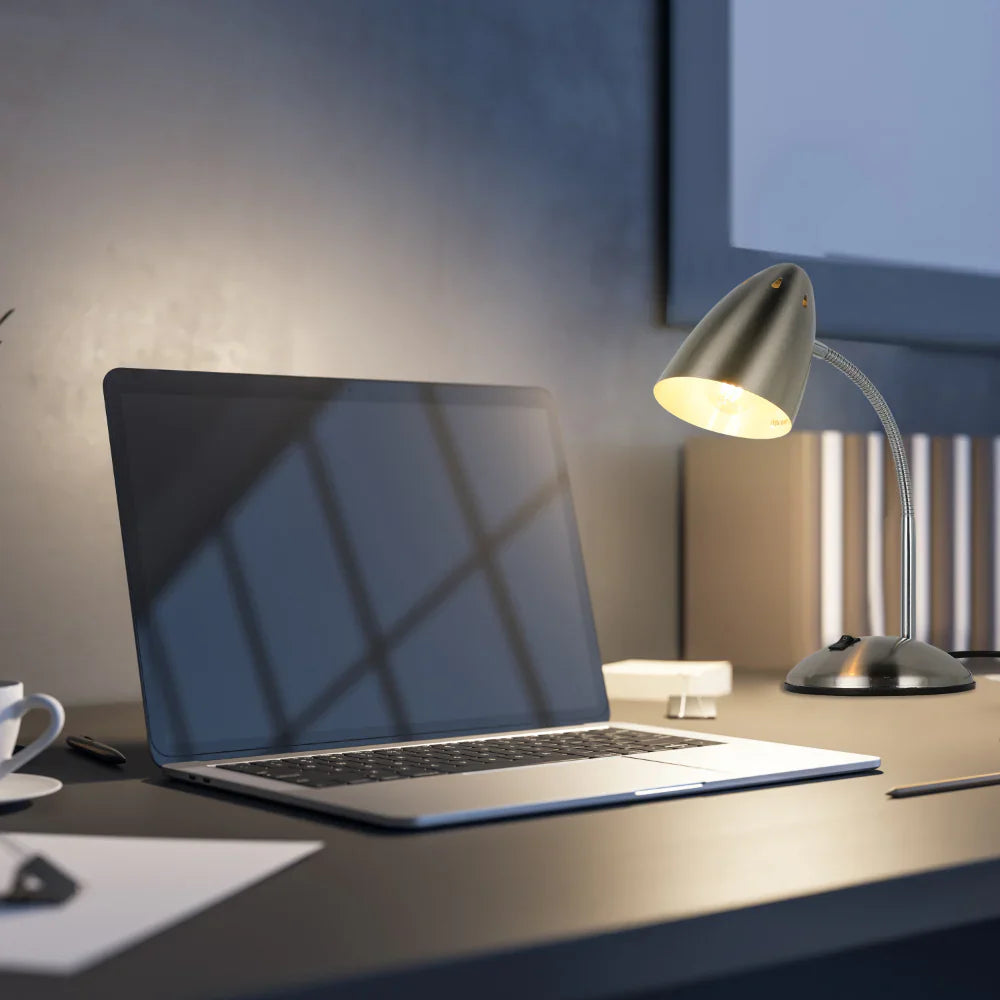Flex Neck Metal Desk Lamp 9