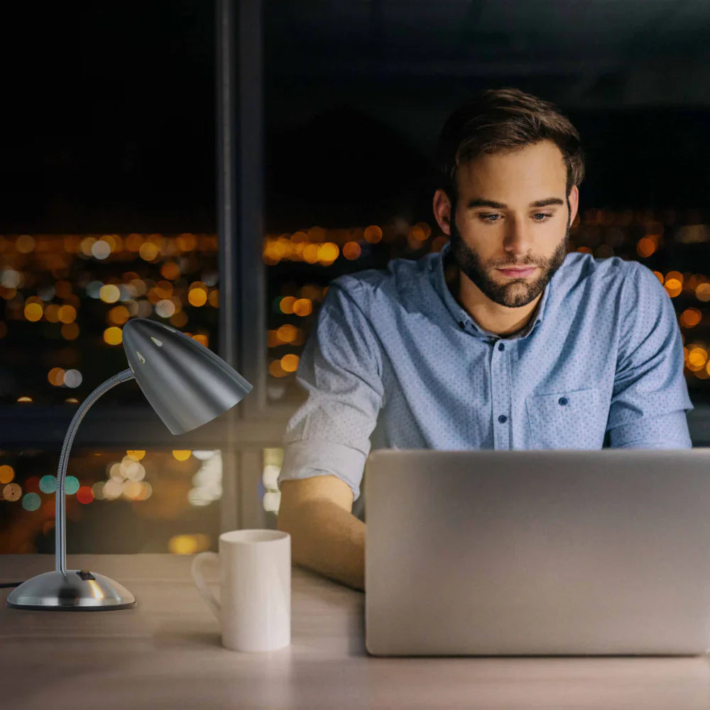 Flex Neck Metal Desk Lamp 12