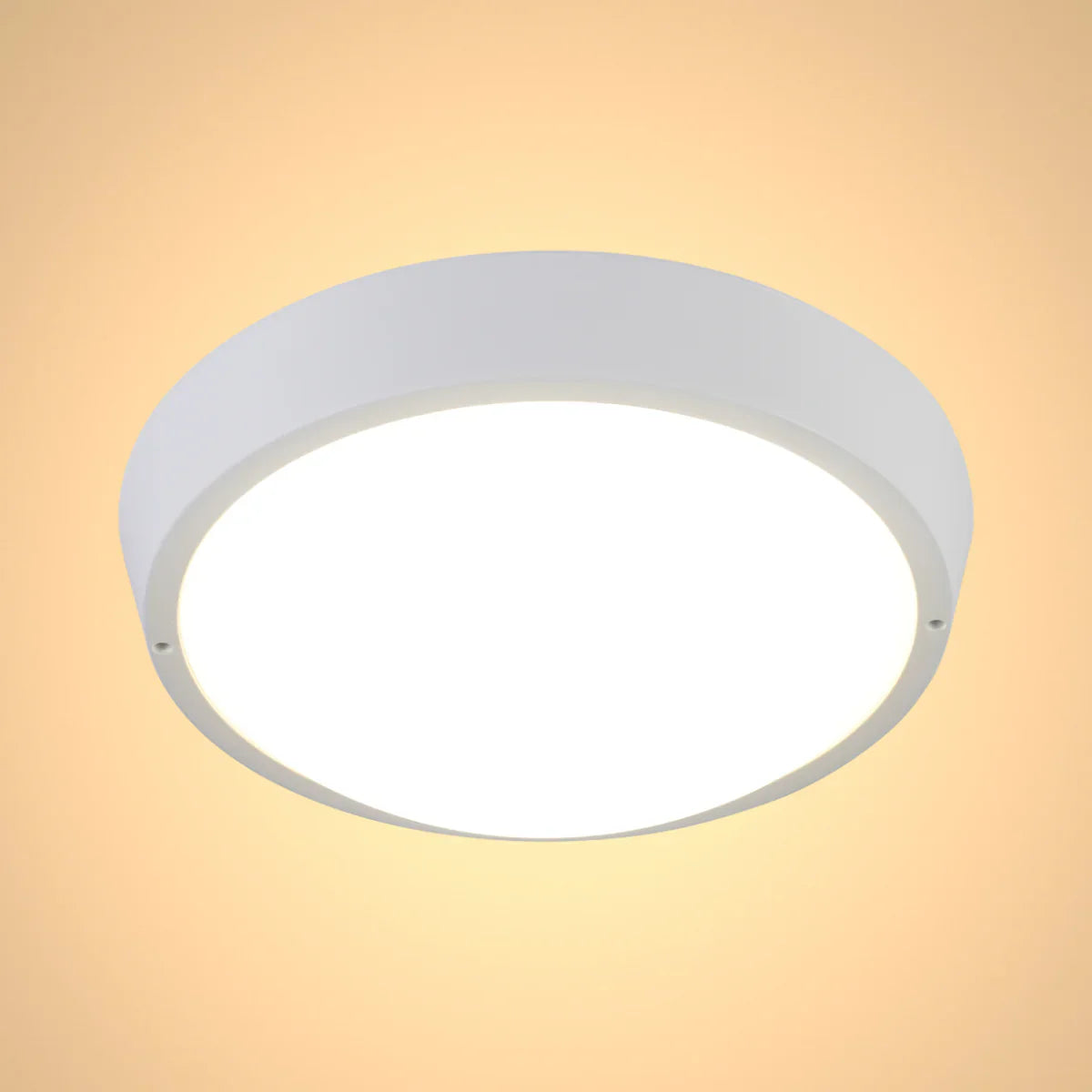 Main image of LED Bulkhead Light IP65 Ceiling Wall Interior Exterior 4000K White 181-15364
