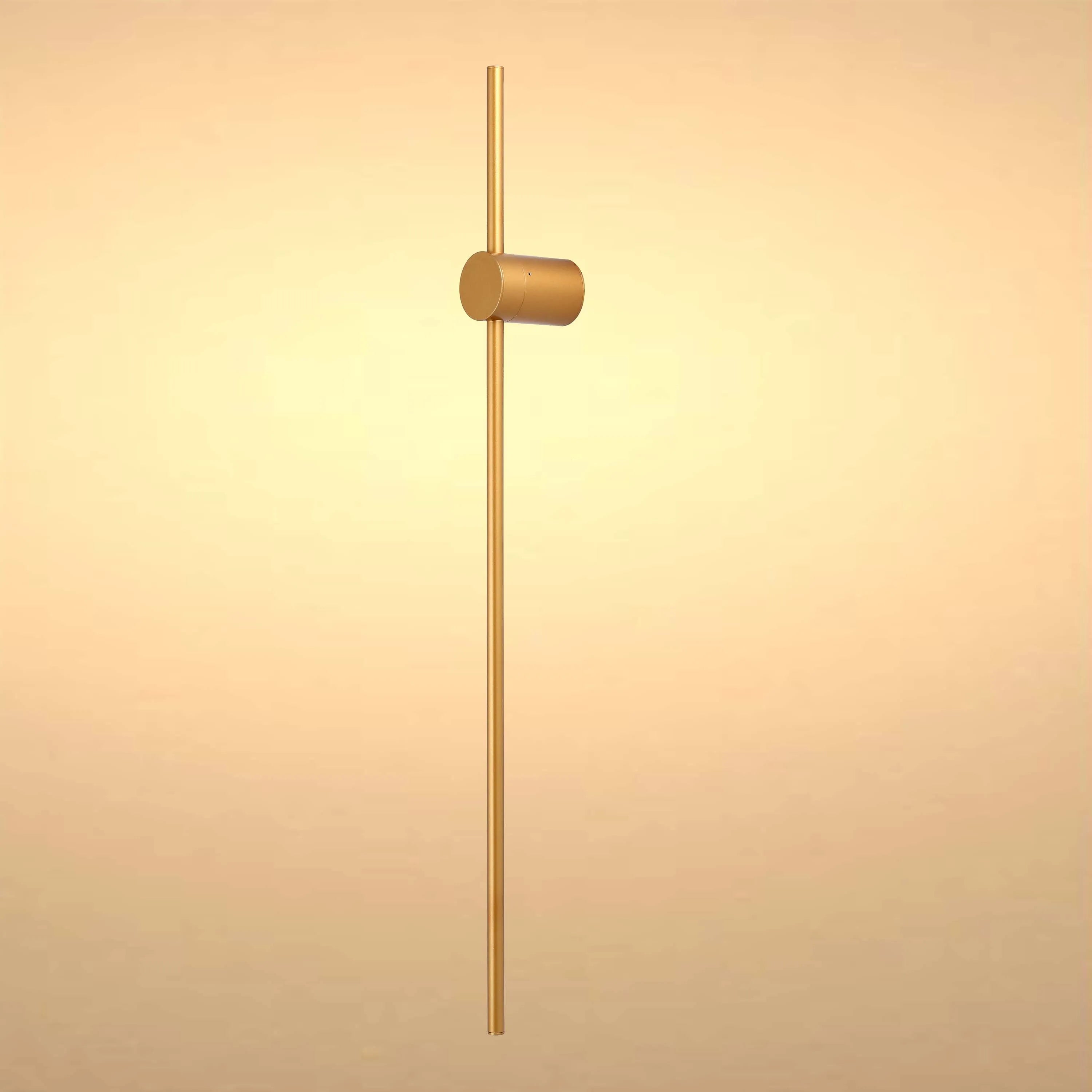 Minimalist Rod Wall Light in Black or Gold with Integrated LED