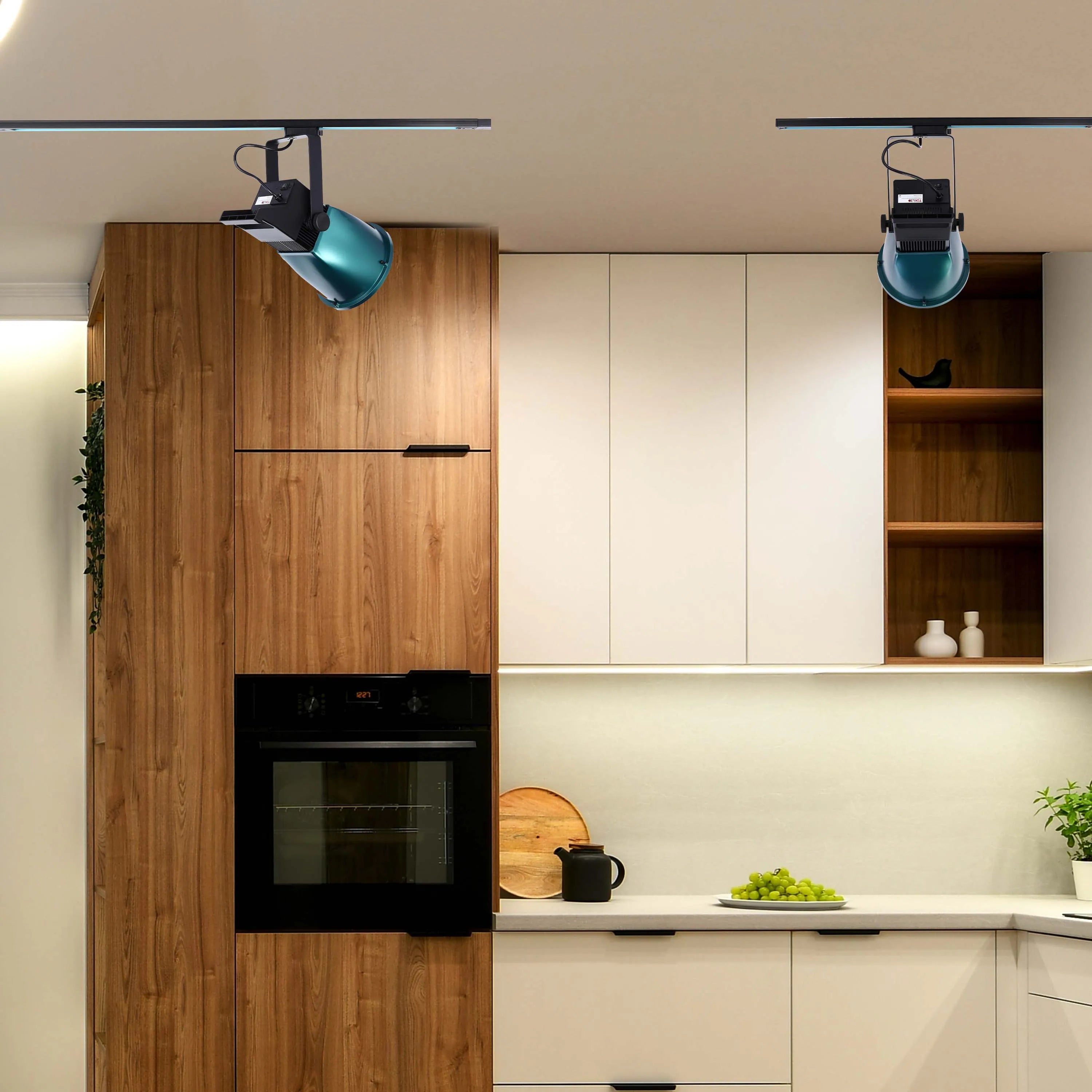 Teal Dome Adjustable LED Track Light