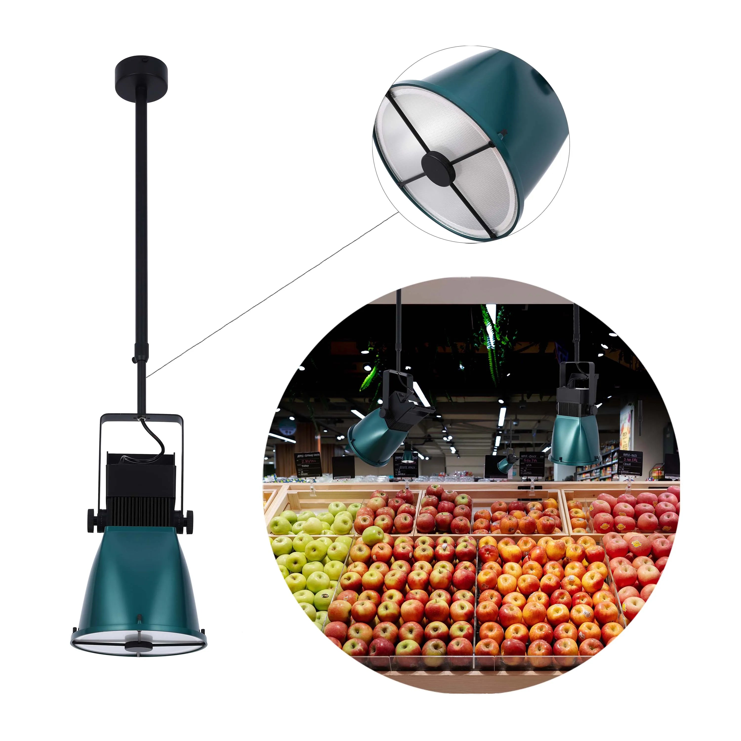 Teal Green Adjustable Spotlight Pendant Light with Cross Design and Remote Control