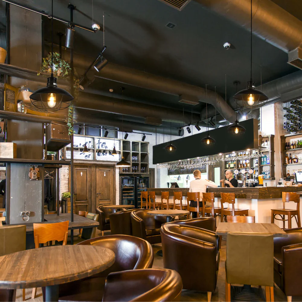 Urban Revive Caged Factory Ceiling Pendant Light Black 6