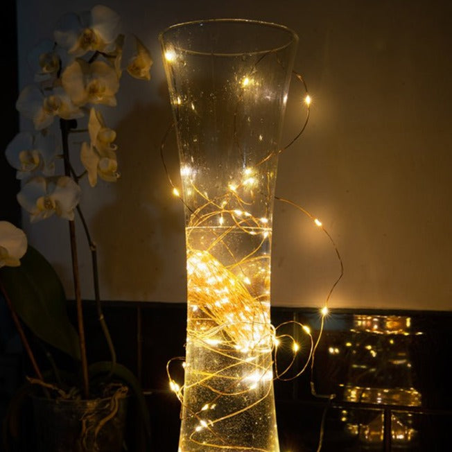 Mensa 2 Sets of Micro-LED 100 LEDs 10m with Battery Pack & USB Cable Warm WhiteÂ¬â€ LED String Fairy Light in indoor use